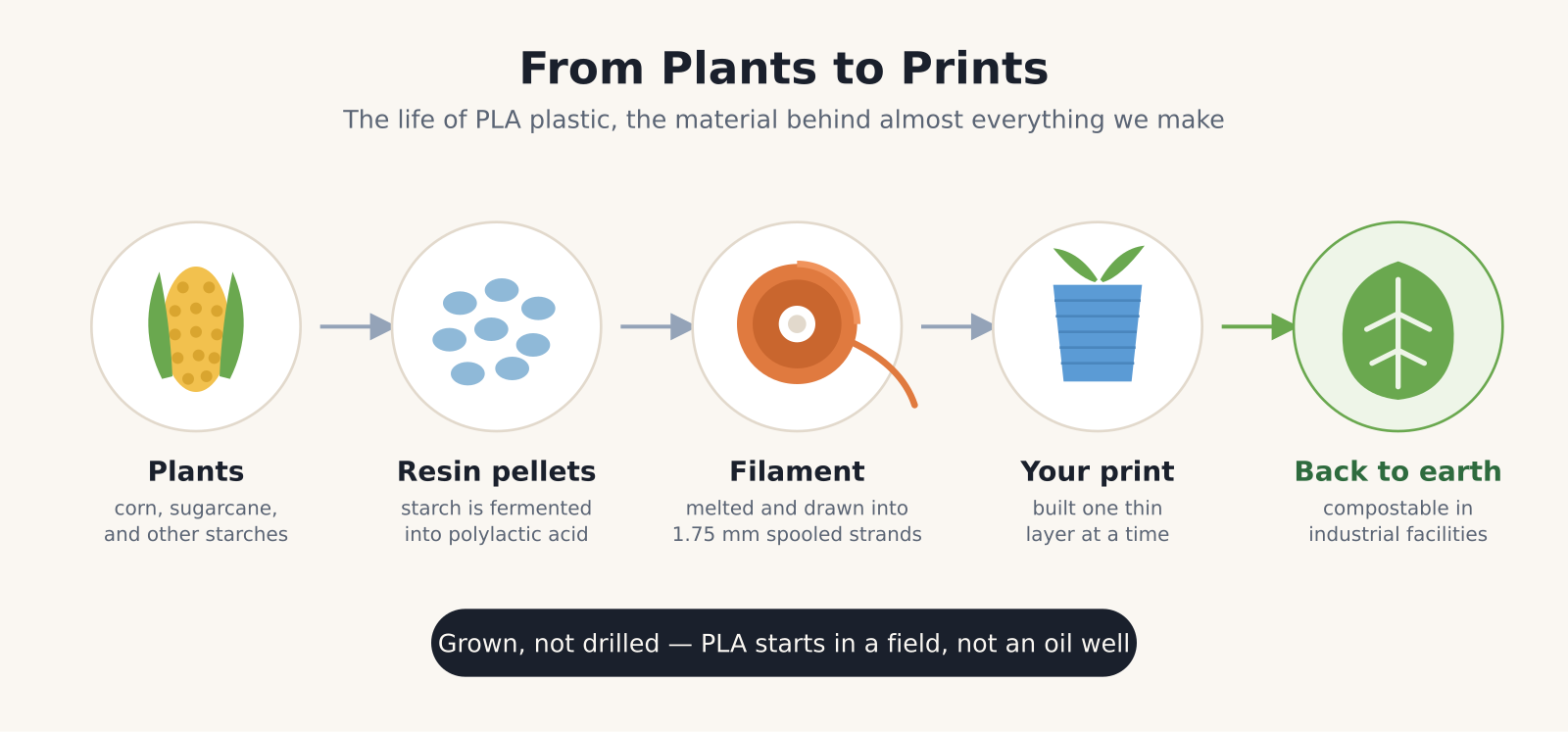 Infographic showing how PLA plastic is made, from plants to resin pellets to filament to a finished 3D print