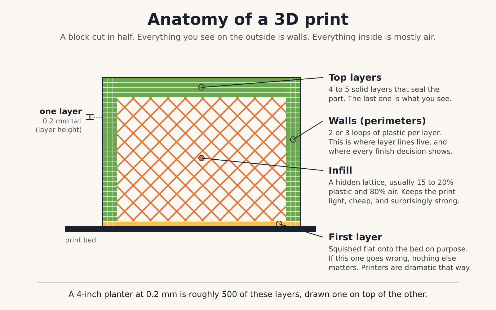 Anatomy of a 3D print cutaway infographic showing first layer, walls, infill, and top layers